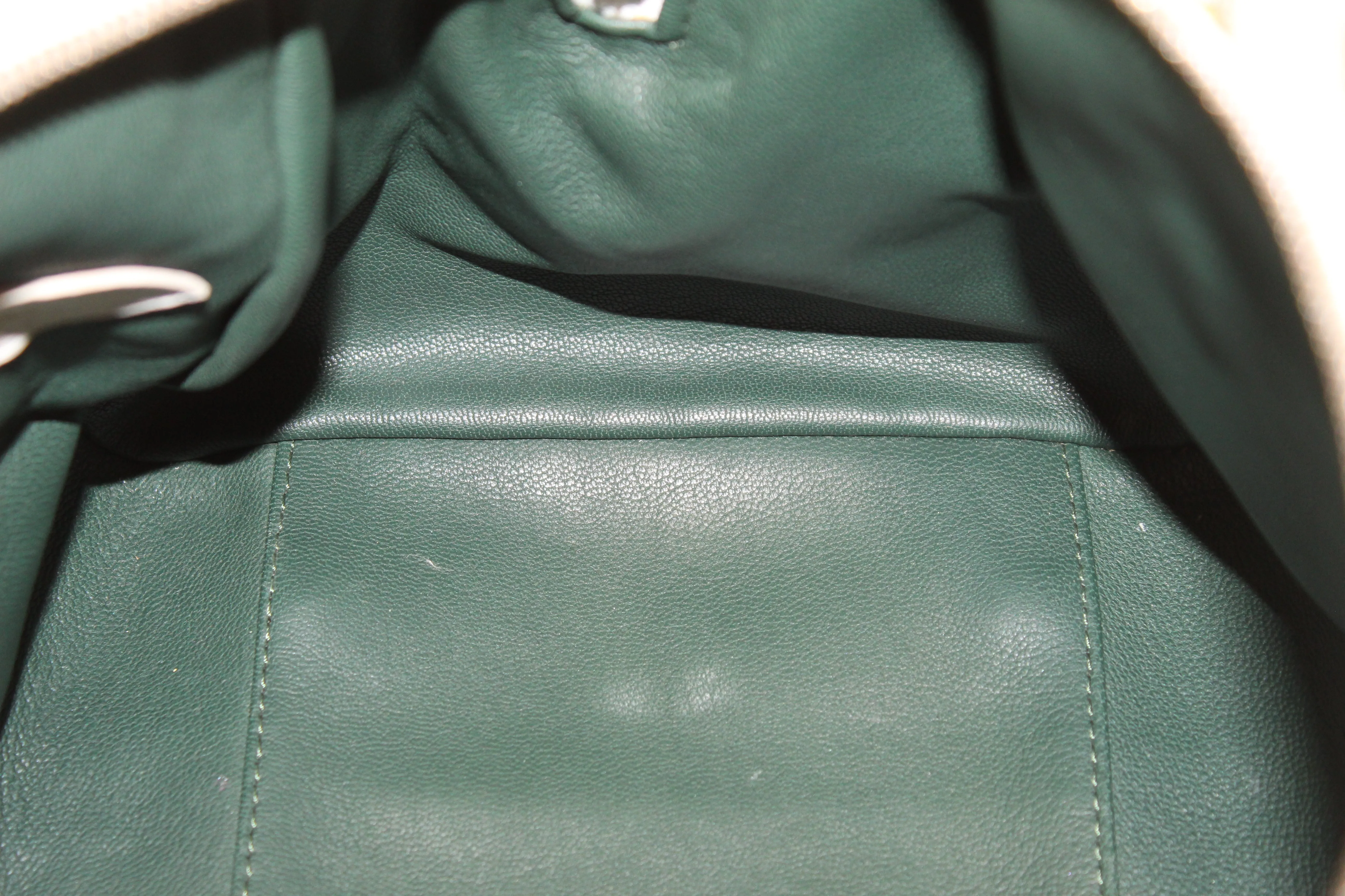 Authentic 2012 Limited Edition Louis Vuitton Green Monogram Sorbet Speedy Handbag