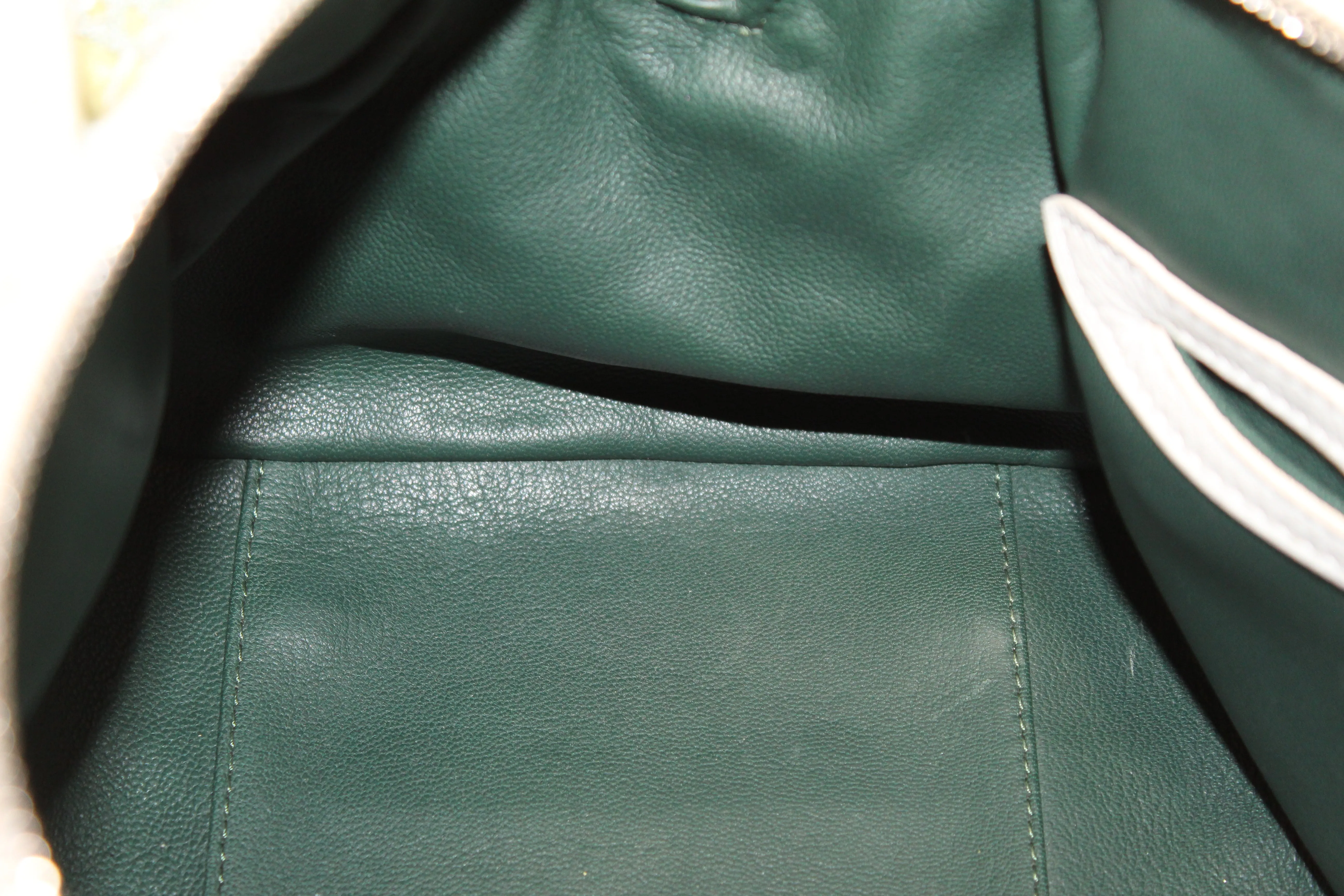 Authentic 2012 Limited Edition Louis Vuitton Green Monogram Sorbet Speedy Handbag