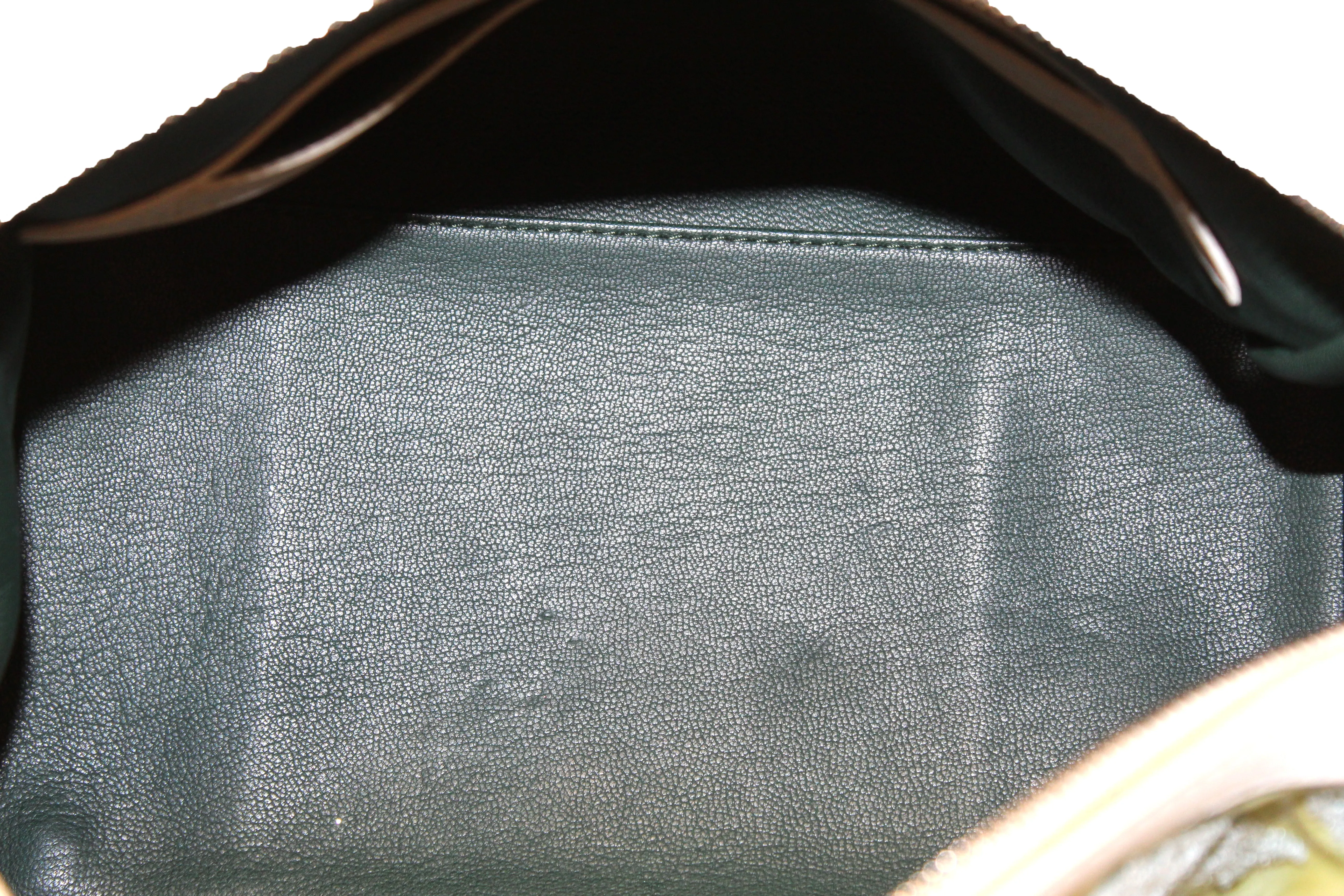 Authentic 2012 Limited Edition Louis Vuitton Green Monogram Sorbet Speedy Handbag