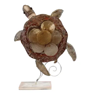 Brown Capiz Turtle