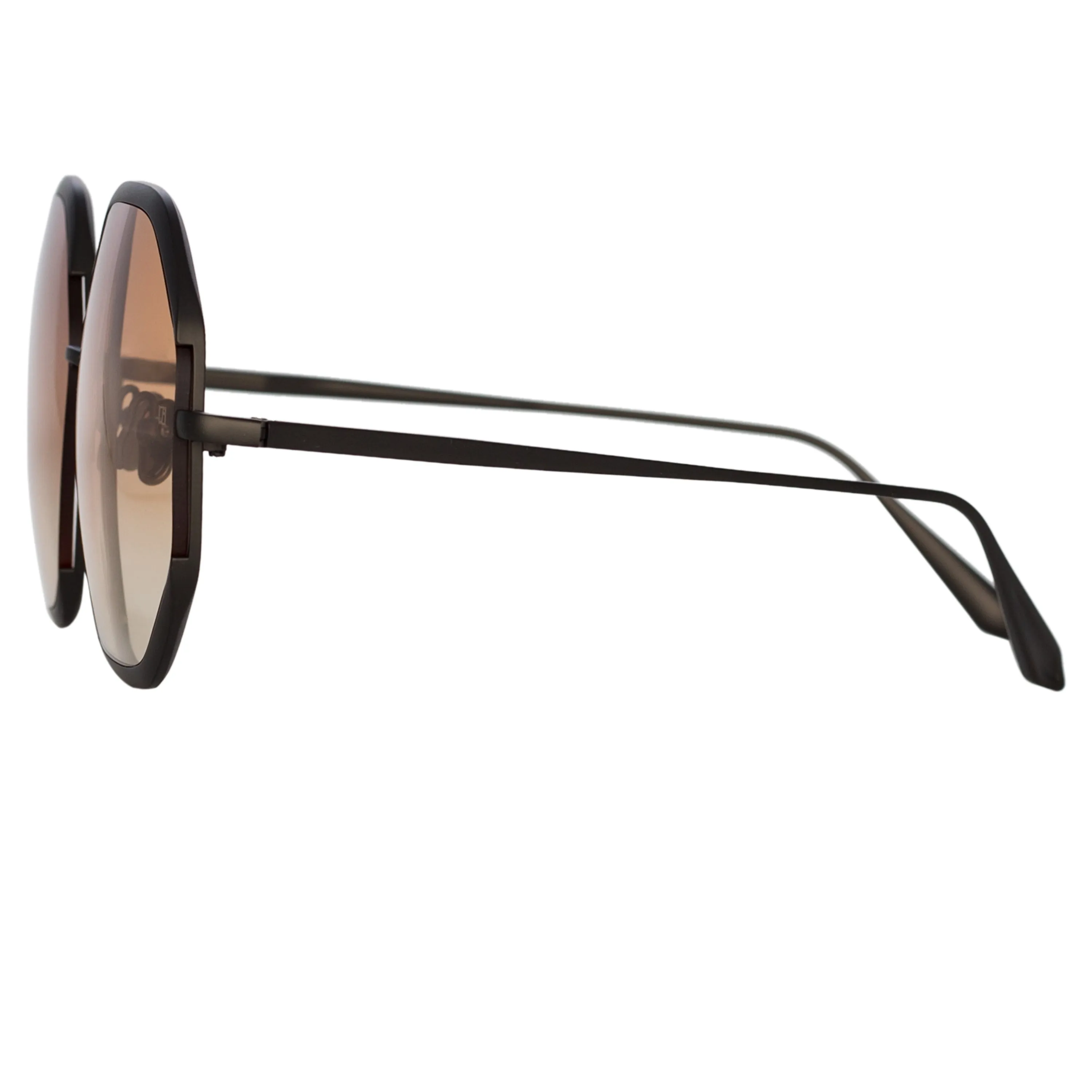 Camila Hexagon Sunglasses in Nickel and Camel