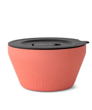 Coral 40oz Insulated Bowl