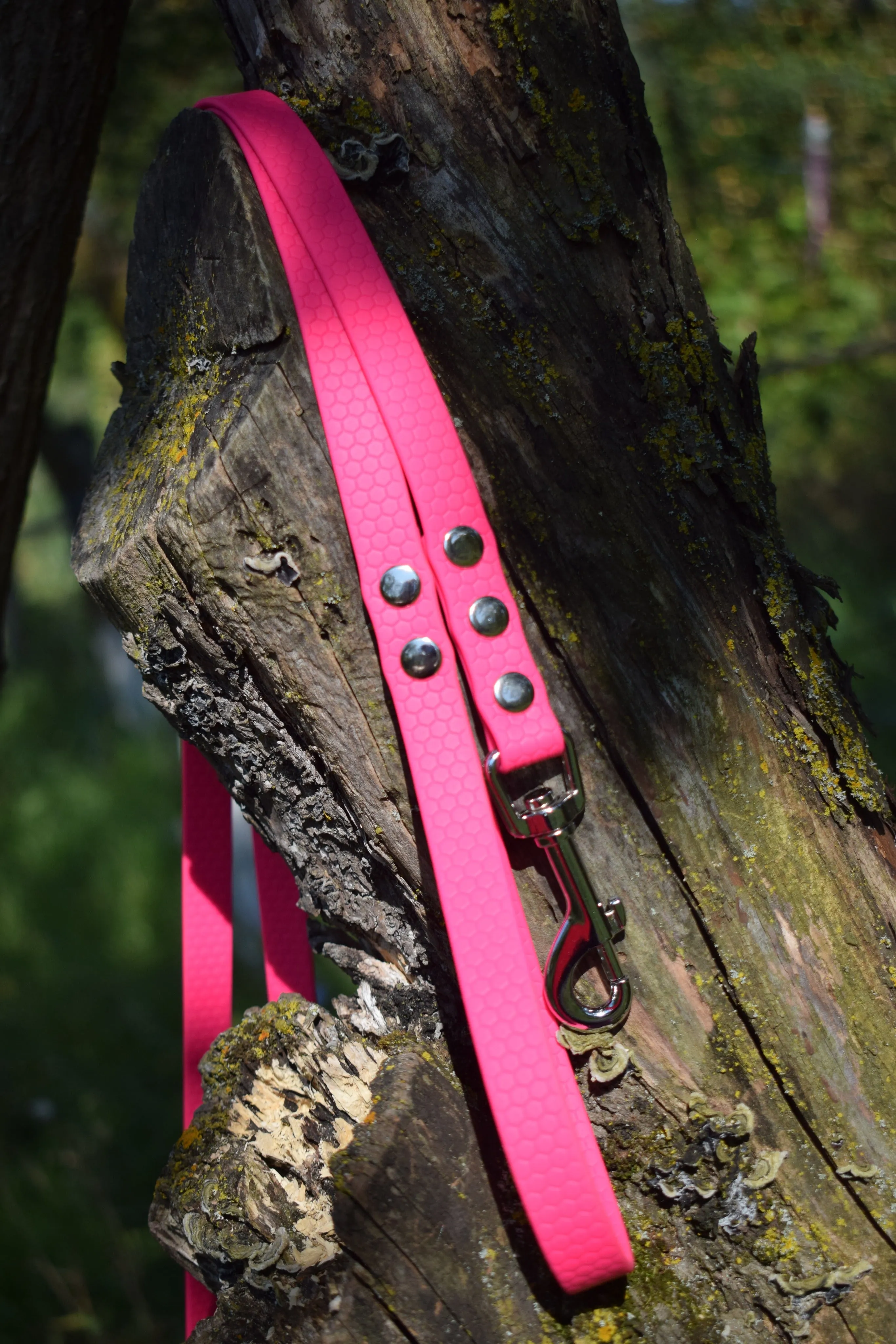 Hexa Bio Dog Leash
