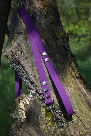 Hexa Bio Dog Leash