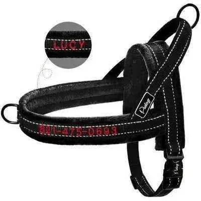 Personalised Luxury Dog Harness by Opulent Paws