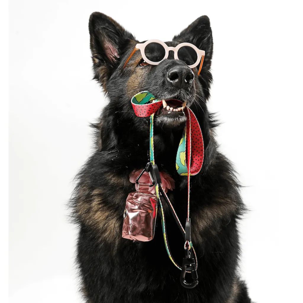 PET OPTIC SHADES -  PET SUNGLASSES