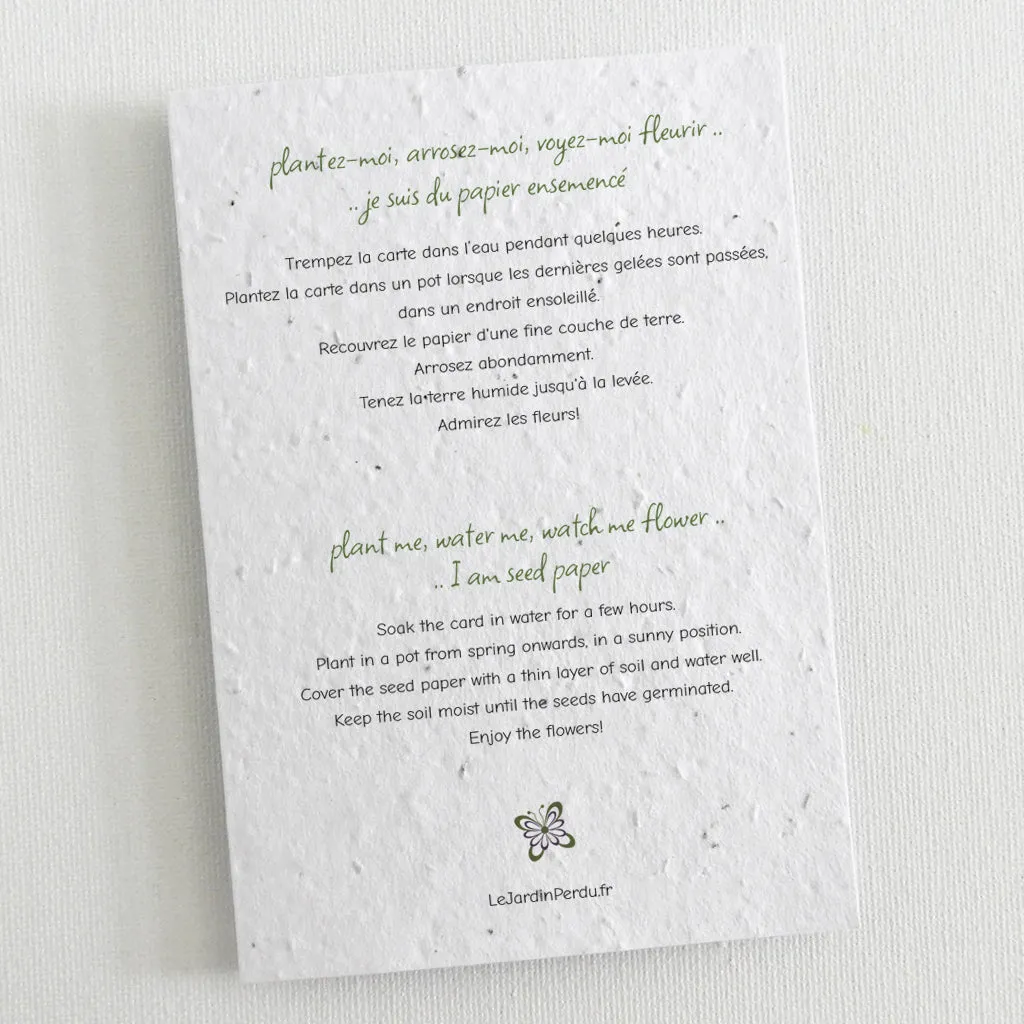 Plantable Blank Cards, Set of 12