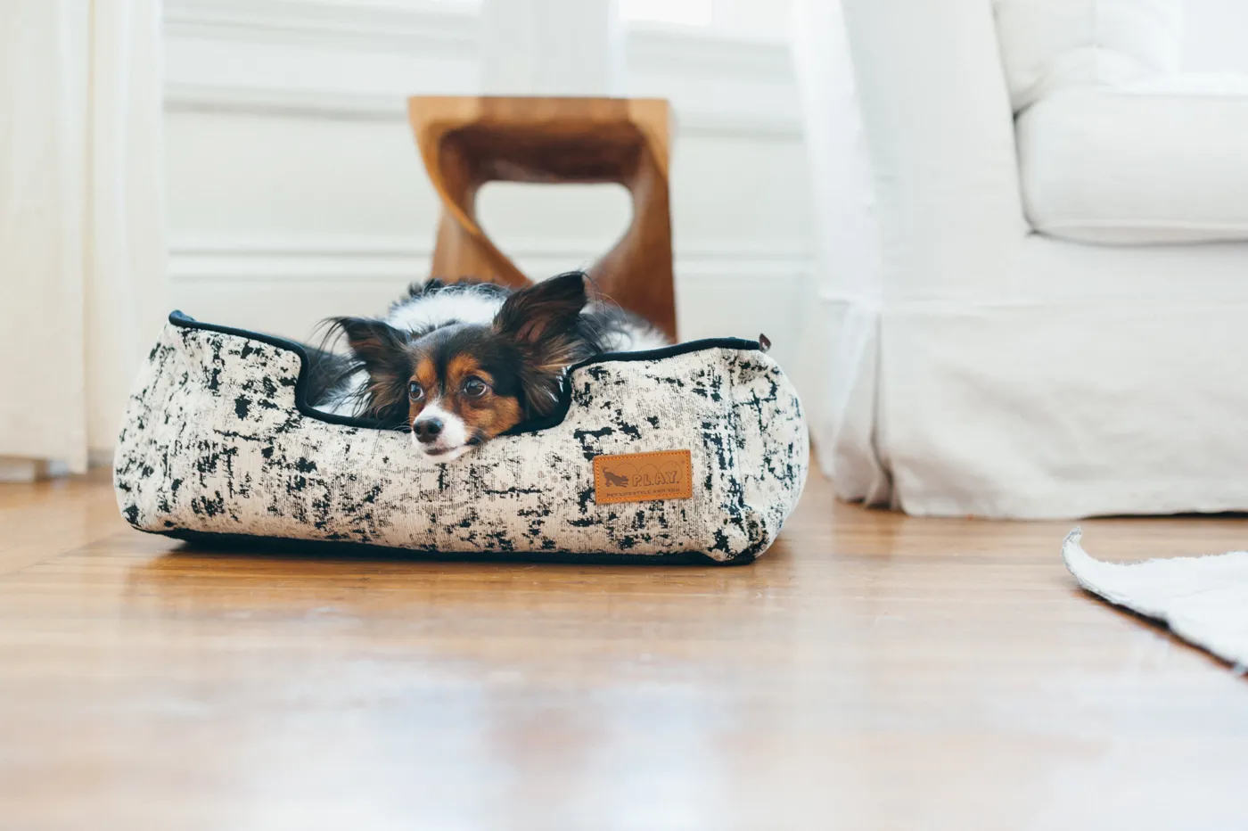 [Pre Order] Lounge Dog Bed: Celestial Night Sky Black