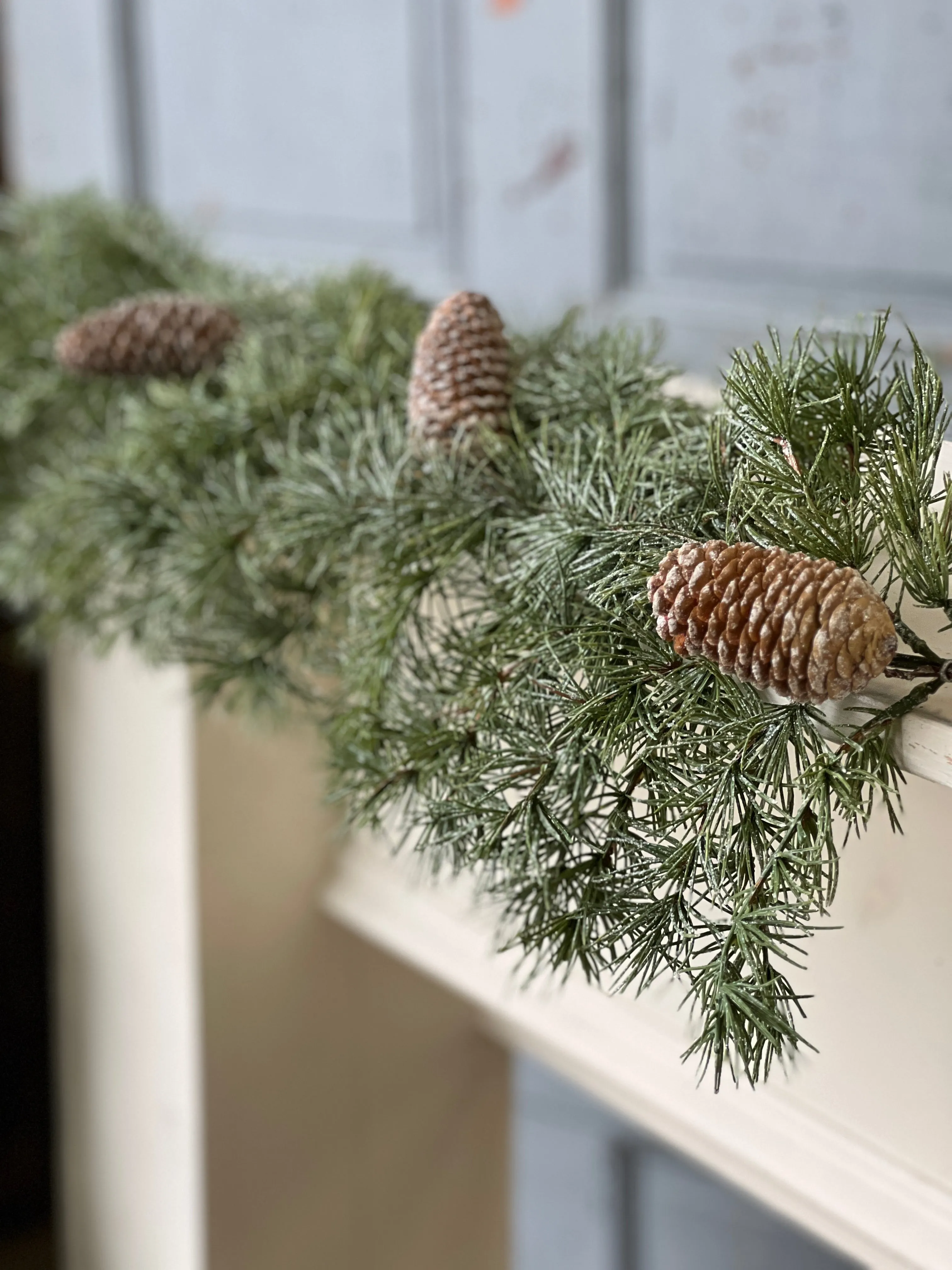 Shining Spindle Pine Garland | 6'