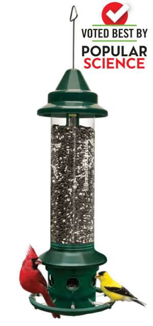 Squirrel-Buster Plus